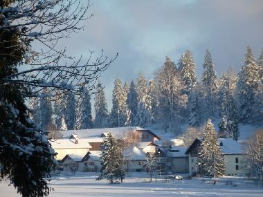 Chalet in Lajoux (La Chaux-de-Fonds) or holiday homes and vacation rentals
