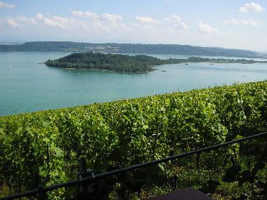 Chalet in Lajoux (La Chaux-de-Fonds) or holiday homes and vacation rentals
