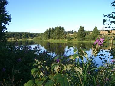 Holiday Apartment in Clausthal-Zellerfeld (Harz) or holiday homes and vacation rentals