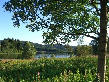 Holiday Apartment in Clausthal-Zellerfeld (Harz) or holiday homes and vacation rentals