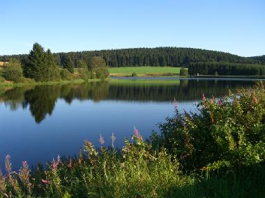 Holiday Apartment in Clausthal-Zellerfeld (Harz) or holiday homes and vacation rentals