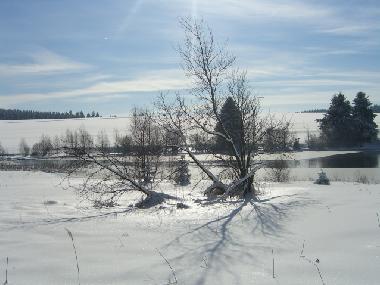Holiday Apartment in Clausthal-Zellerfeld (Harz) or holiday homes and vacation rentals