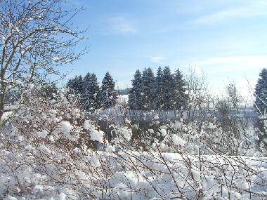 Holiday Apartment in Clausthal-Zellerfeld (Harz) or holiday homes and vacation rentals
