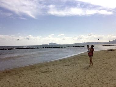 Picture of beach and sea