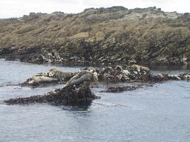 Holiday House in Tragumna, Skibbereen (Cork) or holiday homes and vacation rentals