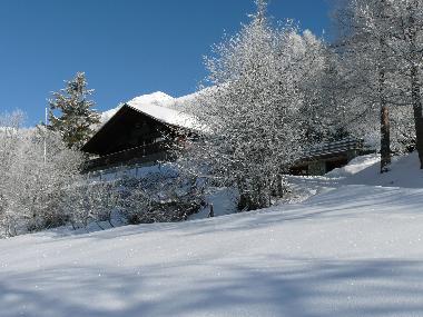 Holiday House in Bellwald (Goms) or holiday homes and vacation rentals