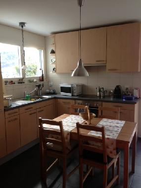 Holiday Apartment in L�ufelfingen (Basel) or holiday homes and vacation rentals