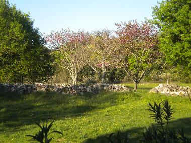 Holiday House in La Garde Adhmar (Drme) or holiday homes and vacation rentals