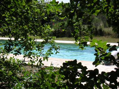 Holiday House in La Garde Adh�mar (Dr�me) or holiday homes and vacation rentals