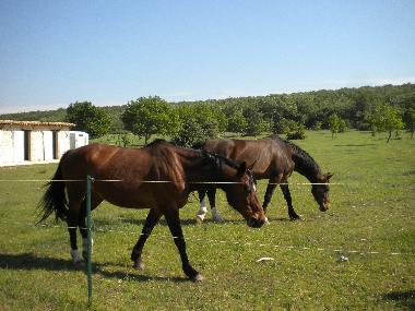 Holiday House in La Garde Adh�mar (Dr�me) or holiday homes and vacation rentals