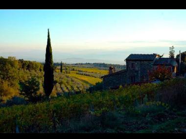Holiday House in Castelnuovo Berardenga (Siena) or holiday homes and vacation rentals