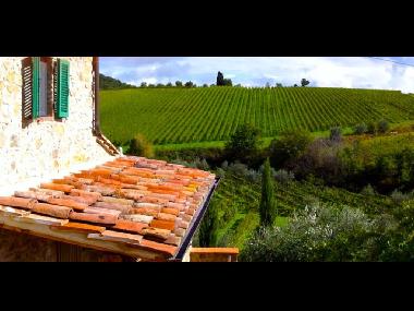 Holiday House in Castelnuovo Berardenga (Siena) or holiday homes and vacation rentals