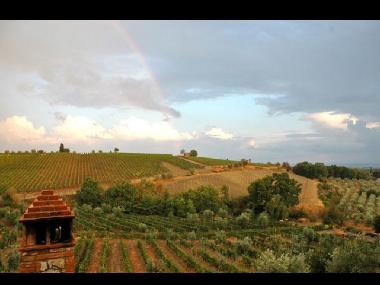 Holiday House in Castelnuovo Berardenga (Siena) or holiday homes and vacation rentals