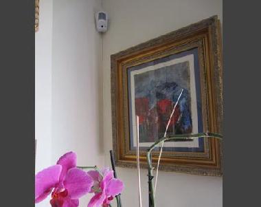 Bed and Breakfast in Madrid (Madrid) or holiday homes and vacation rentals