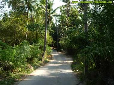 Villa in Koh Samui (Surat Thani) or holiday homes and vacation rentals