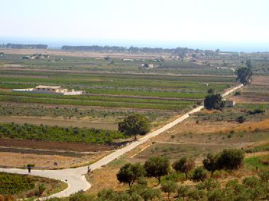 Holiday House in Selinunte (Trapani) or holiday homes and vacation rentals