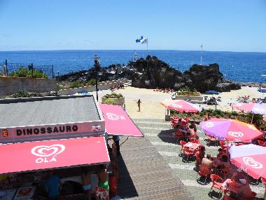 Holiday Apartment in Funchal (Madeira) or holiday homes and vacation rentals