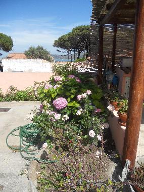 Bed and Breakfast in LA MADDALENA (Olbia-Tempio) or holiday homes and vacation rentals
