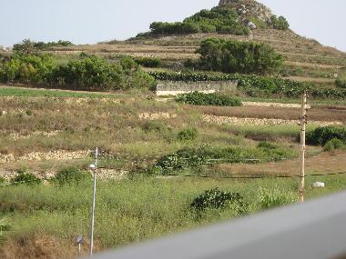 View from Balcony