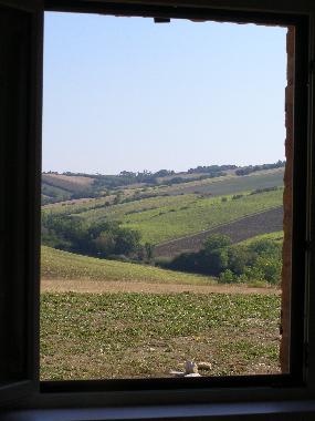 Villa in Orciano di Pesaro (Pesaro e Urbino) or holiday homes and vacation rentals