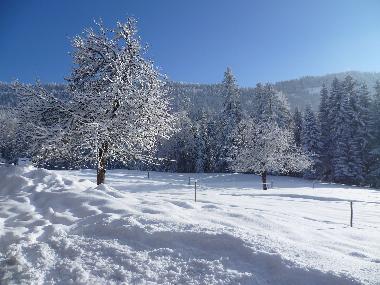 Holiday House in Riefensberg (Bludenz-Bregenzer Wald) or holiday homes and vacation rentals