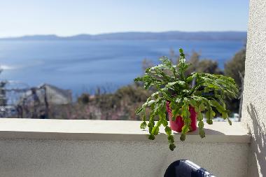 View from the balcony