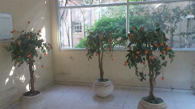 Holiday Apartment in Tel-Aviv (Tel Aviv) or holiday homes and vacation rentals