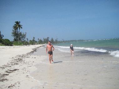 Holiday House in Msambweni (Coast) or holiday homes and vacation rentals