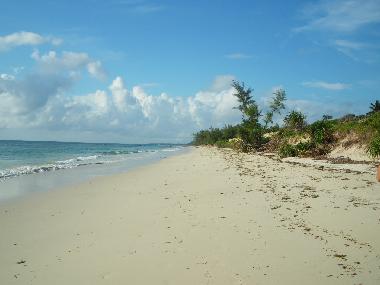 Holiday House in Msambweni (Coast) or holiday homes and vacation rentals