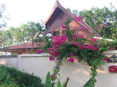 Villa in RAWAI (Phuket) or holiday homes and vacation rentals