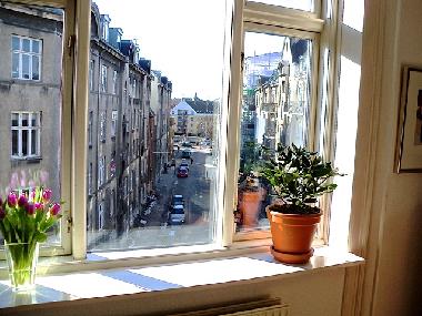 Livingroom window