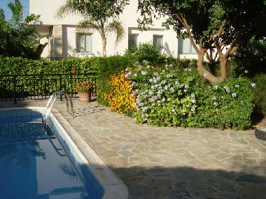 Holiday Apartment in Kissonerga (Paphos) or holiday homes and vacation rentals