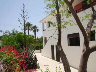 Holiday Apartment in Kissonerga (Paphos) or holiday homes and vacation rentals