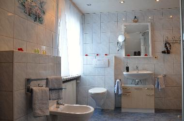 Holiday Apartment in Medebach (Sauerland) or holiday homes and vacation rentals