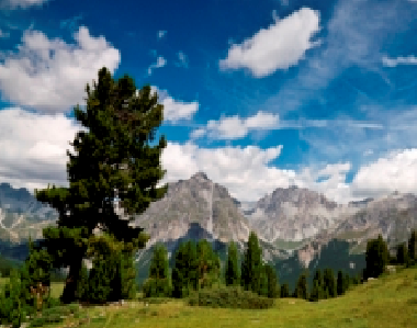 Holiday Apartment in Scuol (Scuol) or holiday homes and vacation rentals