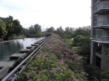 lap pool with park & twin tower views