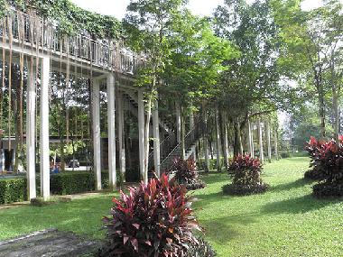 Looking from the condo lobby
