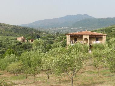 Hotel in Ascea (SA) (Salerno) or holiday homes and vacation rentals