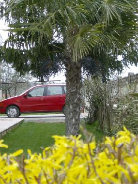 Holiday House in Vosteni (Istarska) or holiday homes and vacation rentals