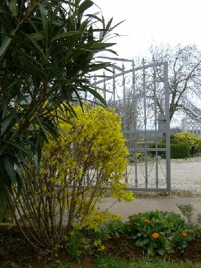 Holiday House in Vosteni (Istarska) or holiday homes and vacation rentals