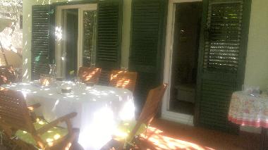 Holiday House in Starigrad Paklenica (Zadarska) or holiday homes and vacation rentals