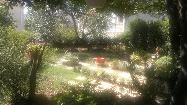 Holiday House in Starigrad Paklenica (Zadarska) or holiday homes and vacation rentals