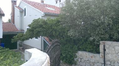 Holiday House in Starigrad Paklenica (Zadarska) or holiday homes and vacation rentals