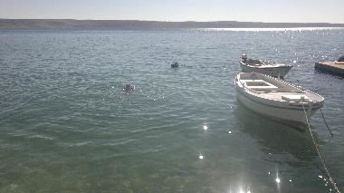 Holiday House in Starigrad Paklenica (Zadarska) or holiday homes and vacation rentals