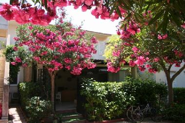 Holiday House in Ragusa (Ragusa) or holiday homes and vacation rentals