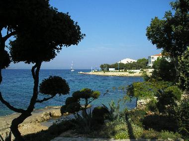 Holiday Apartment in Pag , Mandre (Zadarska) or holiday homes and vacation rentals