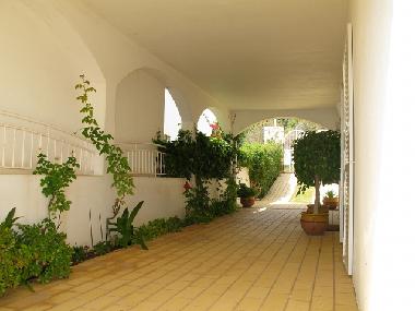 Holiday House in Vale Para (Algarve) or holiday homes and vacation rentals