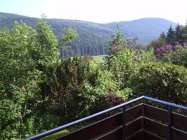 Holiday Apartment in Baiersbronn-Obertal (Black Forest) or holiday homes and vacation rentals