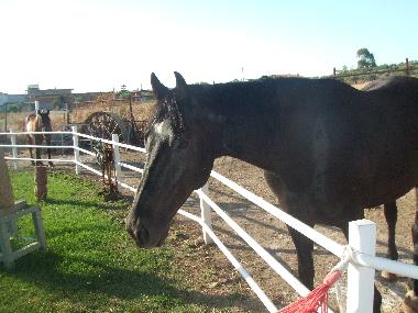 Holiday House in crotone (Crotone) or holiday homes and vacation rentals