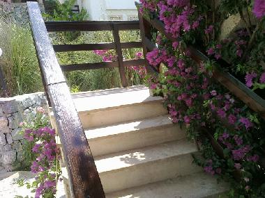 Holiday Apartment in Bodrum (Mugla) or holiday homes and vacation rentals